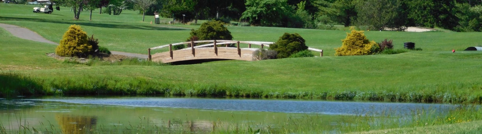 view of bridge on golf course green