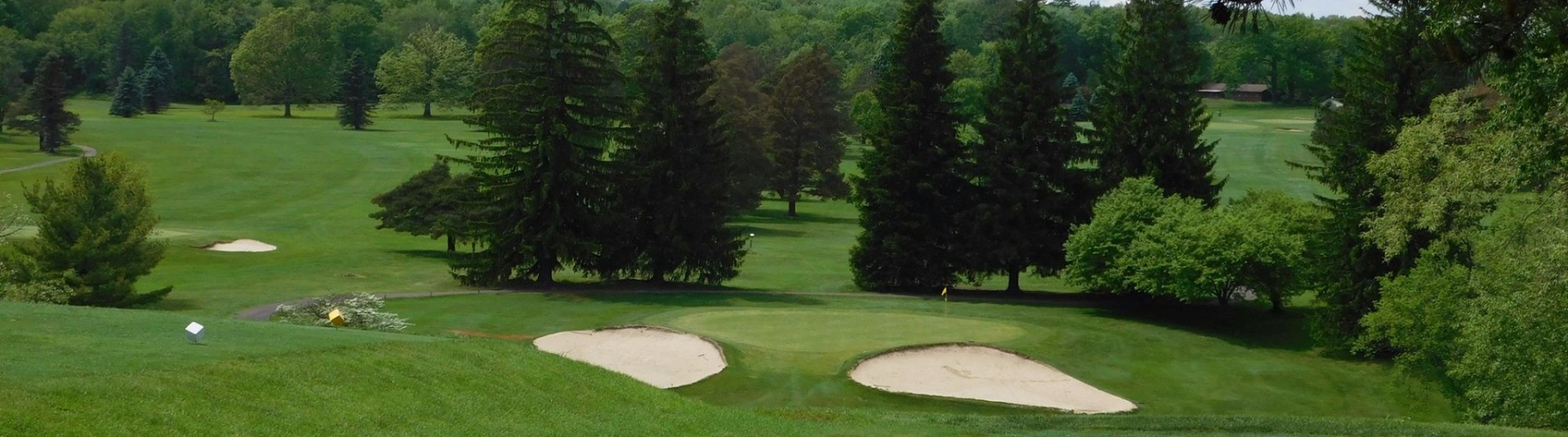 view of golf course green with sand traps